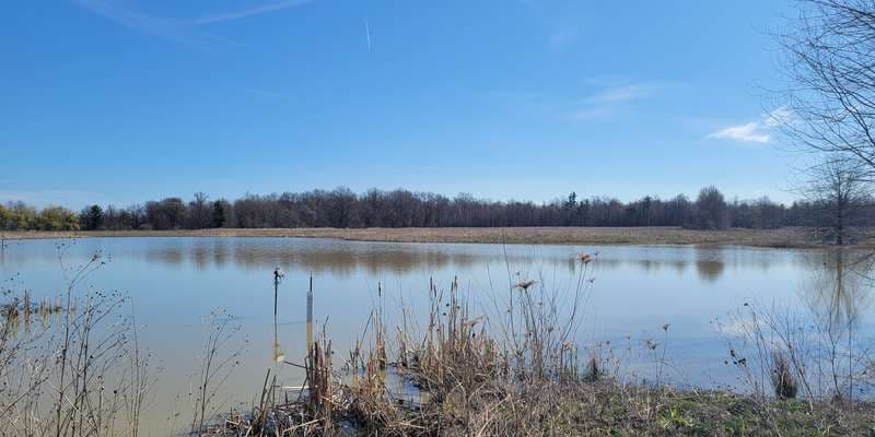 The featured photo for Litchfield Wetland Restoration