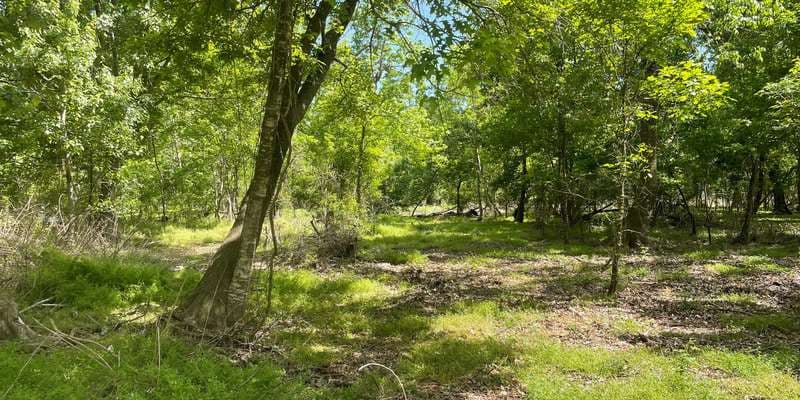 The featured photo for JD #2 Restoration Site