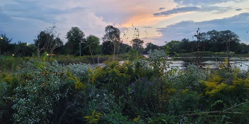 The featured photo for Humboldt Park Natural Area