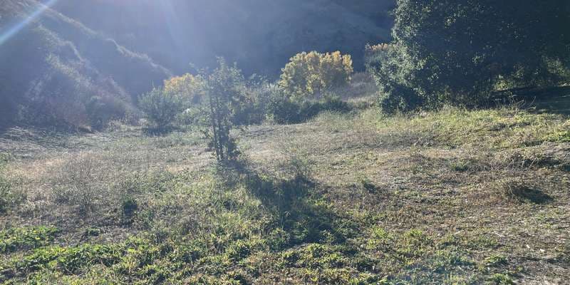 The featured photo for #OldFire21