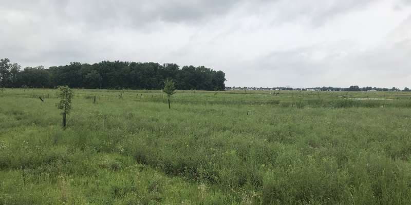 The featured photo for Oakwood's Nature Preserve - East