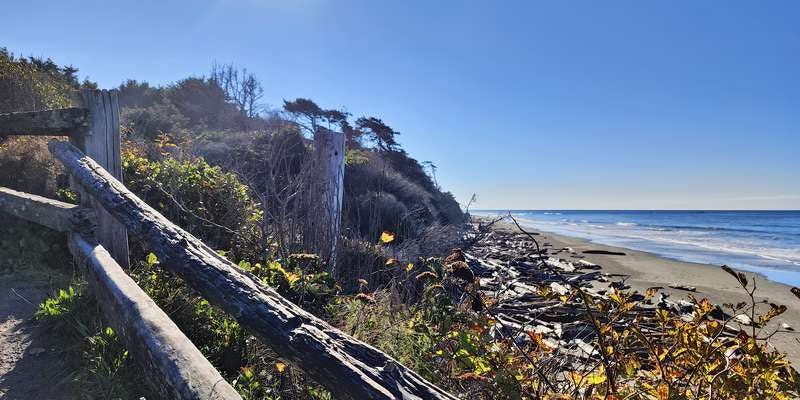 The featured photo for Kalaloch Campground South