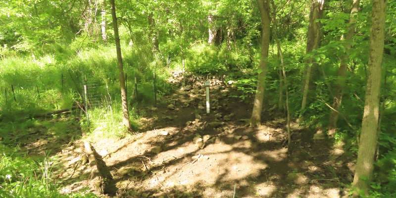 The featured photo for Pinchot - Barn Pool