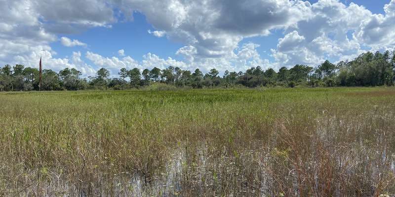 The featured photo for CREW Marsh Trails Depression Marsh
