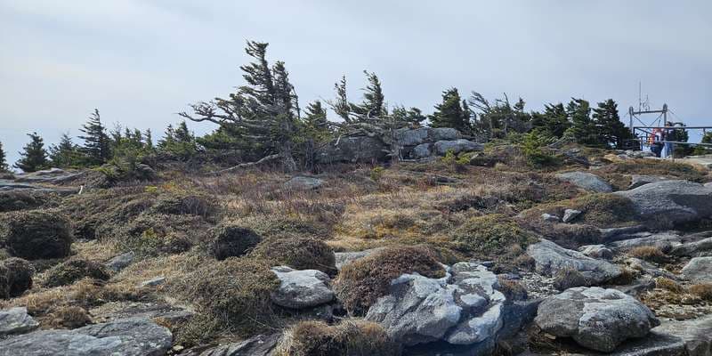 The featured photo for Mile High Swinging Bridge