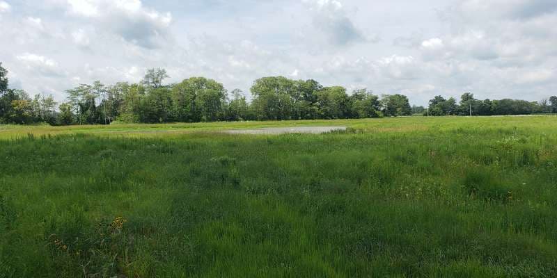 The featured photo for Oakwood's Nature Preserve - West