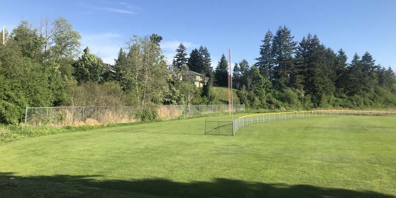 The featured photo for Catstream (Robin's Park)