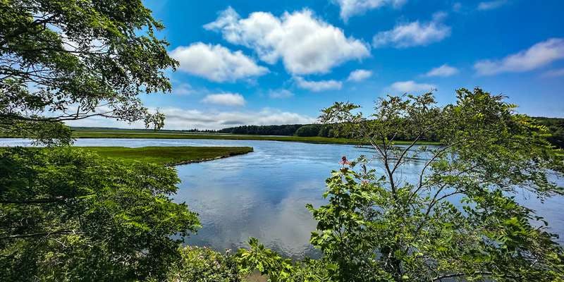 The featured photo for Scarborough Marsh, Eastern View