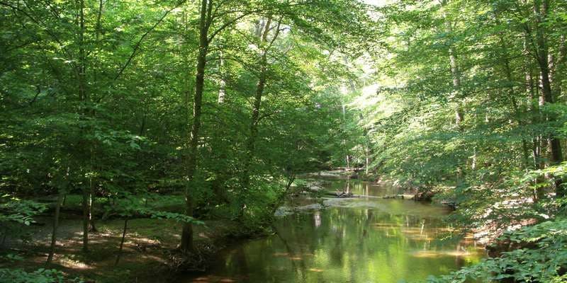 The featured photo for Little Seneca Creek