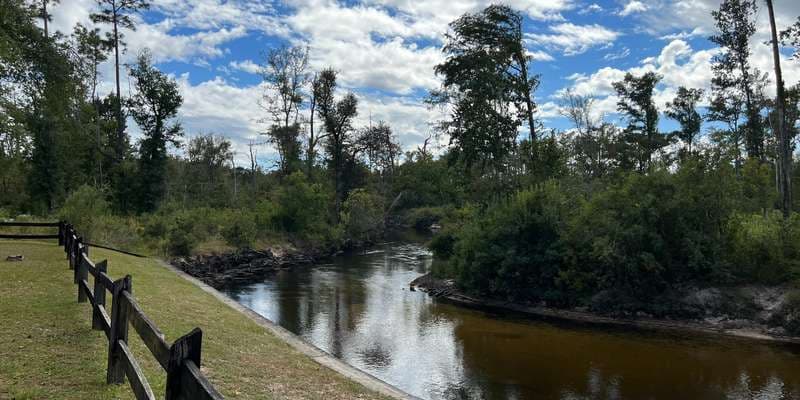 The featured photo for Econfina Creek View at Walsingham Rec Site