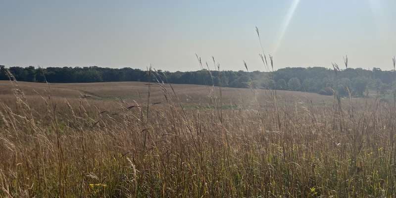 The featured photo for Murphy-Hanrehan Park Reserve – Hill Top