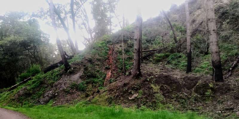 The featured photo for Woodward Fire Photomonitoring Site 1