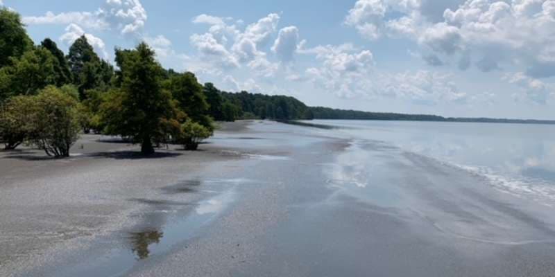 The featured photo for Pettigrew State Park