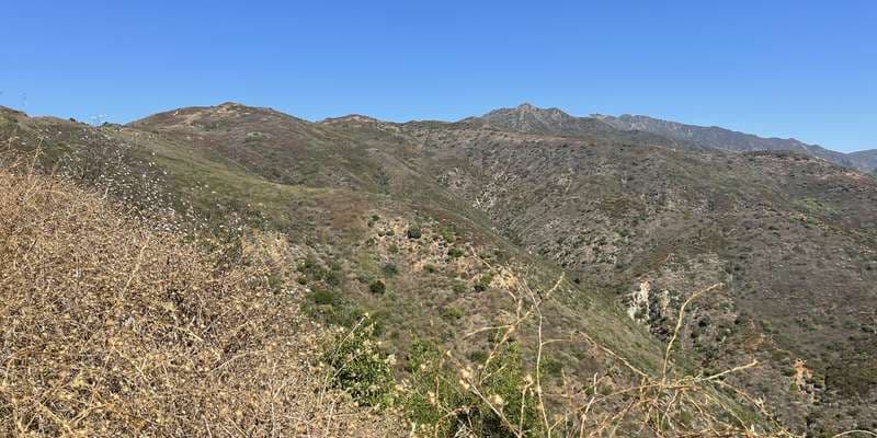 The featured photo for #WoolseyFire20