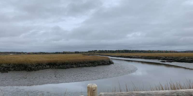 The featured photo for Scarborough Marsh Audubon Center ADA-Accessible Chronolog CCO Site