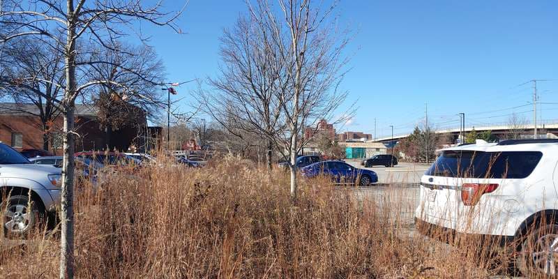 The featured photo for Warner Park South Rain Garden