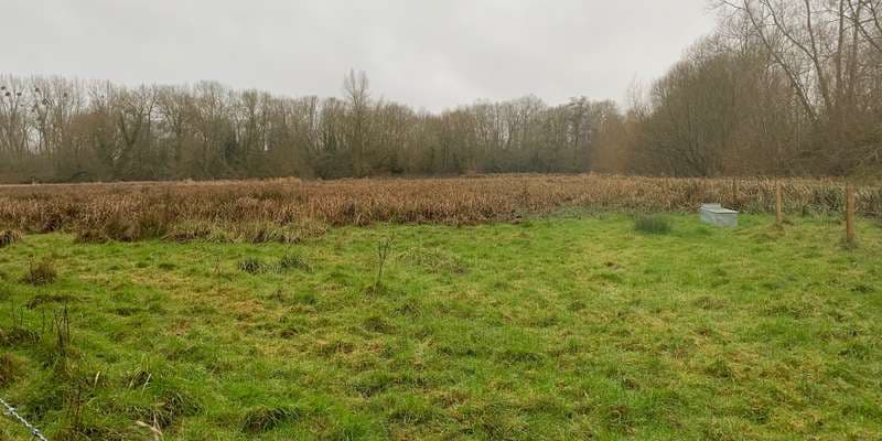 The featured photo for Park Farm Marston 101