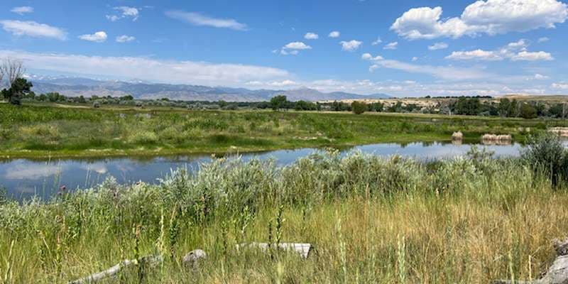The featured photo for Ertl - White Rocks Wetland Restoration