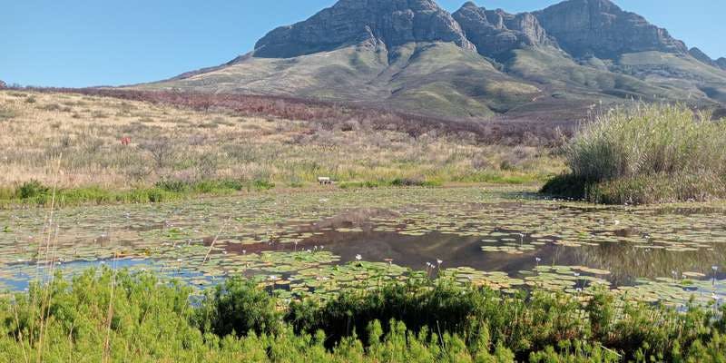 The featured photo for Helderberg Nature Reserve dam.