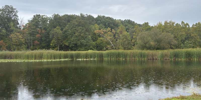 The featured photo for Kendall Lake