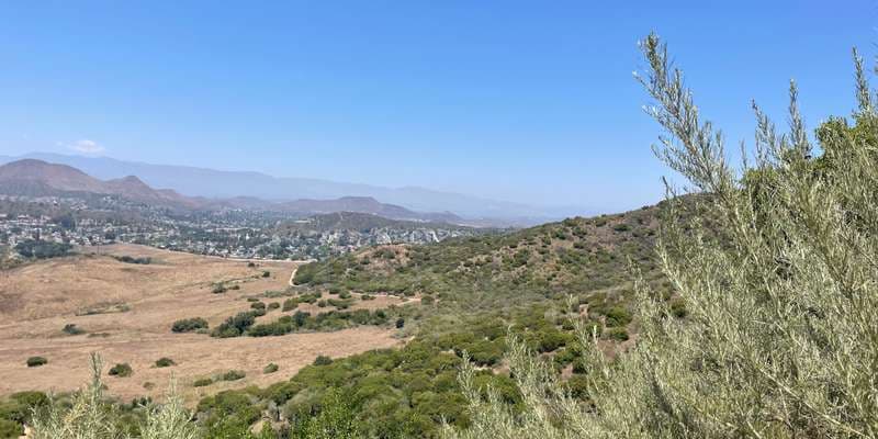 The featured photo for #SpringsFire03