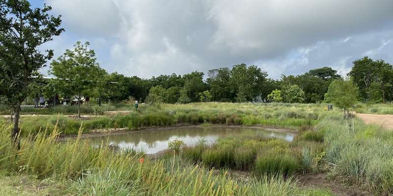 The featured photo for Vernal Pool & Restored Prairie
