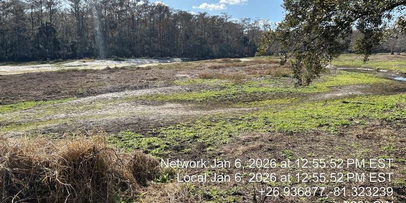 The featured photo for Fisheating Creek WMA