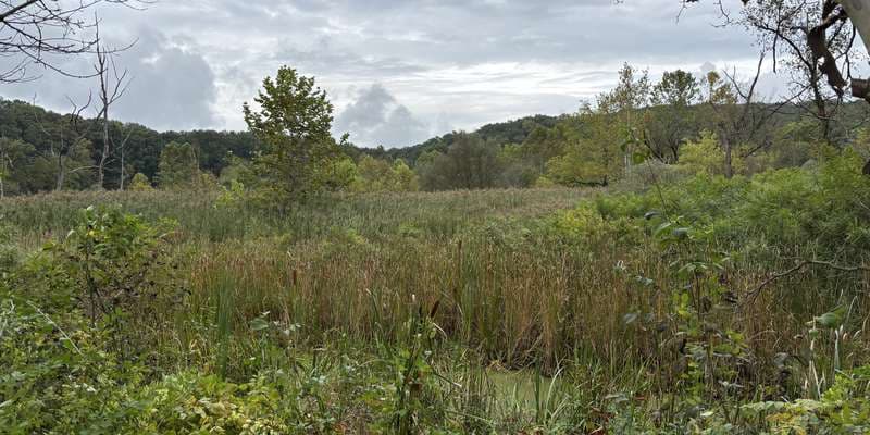 The featured photo for Lock 29