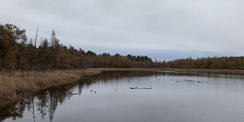 The featured photo for Cedar Bog Lake