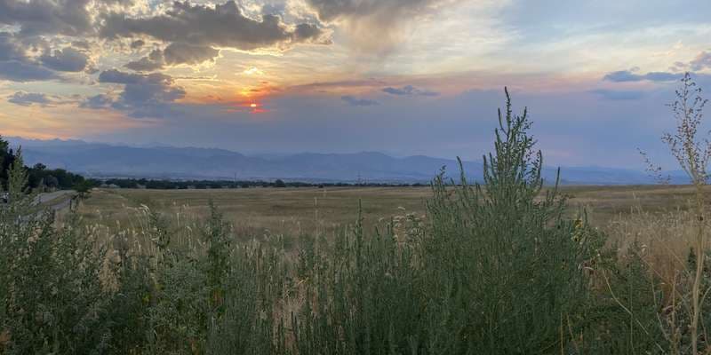The featured photo for Gunbarrel Hill Restoration Area