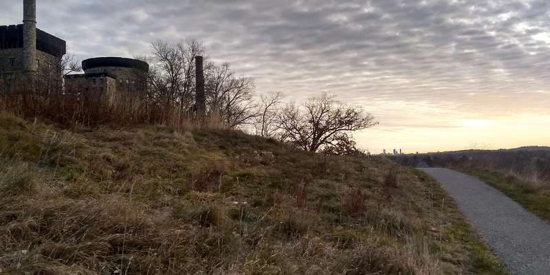 The featured photo for Project Pollinator and the Boston Skyline