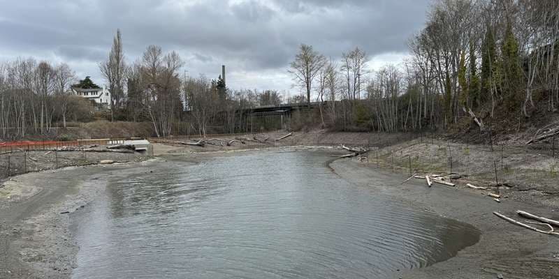 The featured photo for Little Squalicum Estuary - Bridge Station