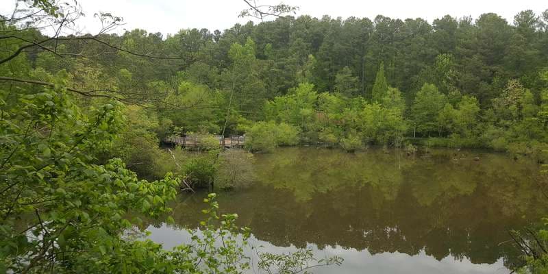 The featured photo for Wetland - Upper Observation Deck