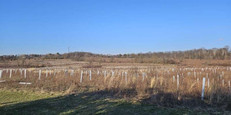 The featured photo for Munroe Falls Tallmadge Meadows