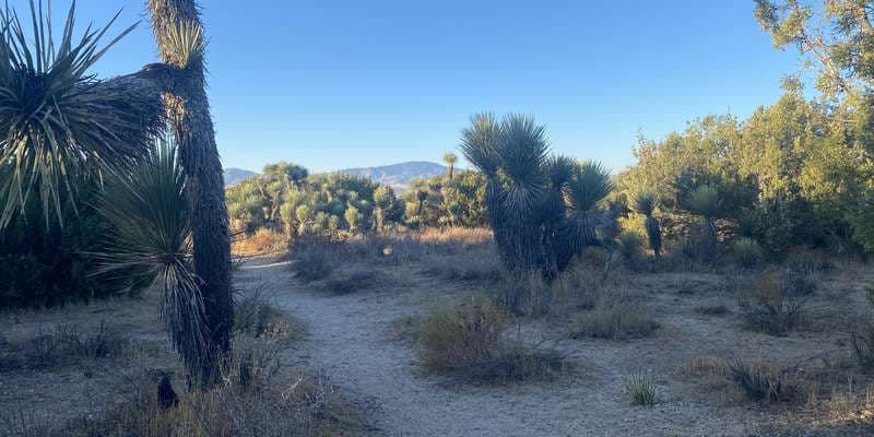 The featured photo for Arthur B Ripley - Station 1