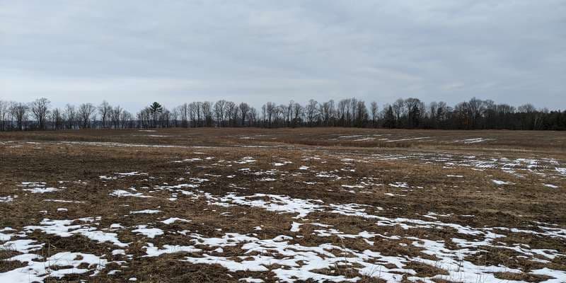 The featured photo for Maple Bay Natural Area