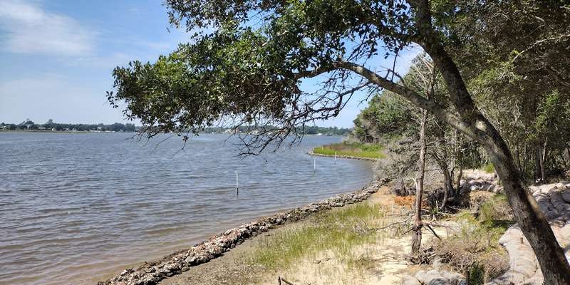 The featured photo for Hammocks Beach State Park