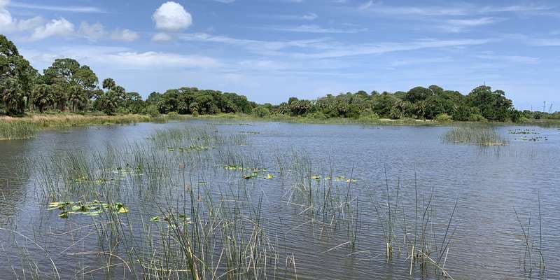 The featured photo for Winding Waters Natural Area
