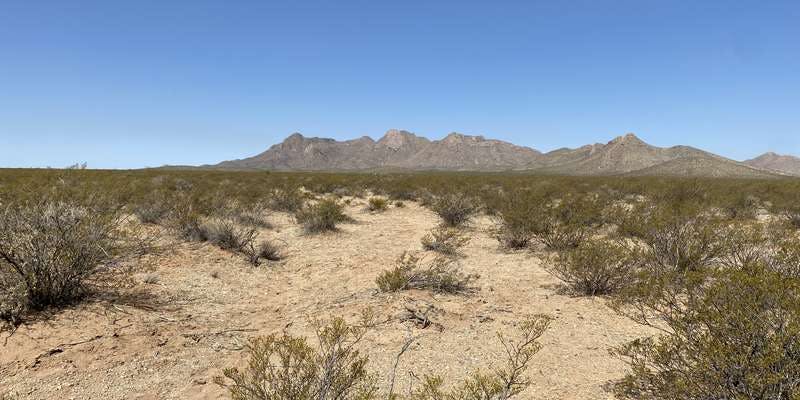 The featured photo for Chihuahuan Desert Nature Park Remediation Experiment