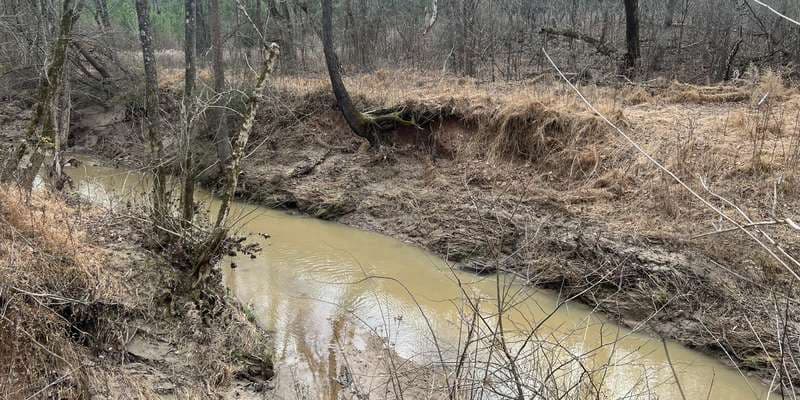 The featured photo for Downstream at the north end of the Fisher section