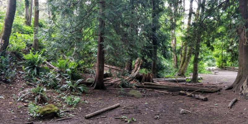 The featured photo for Departure Creek (Woodstream Park)