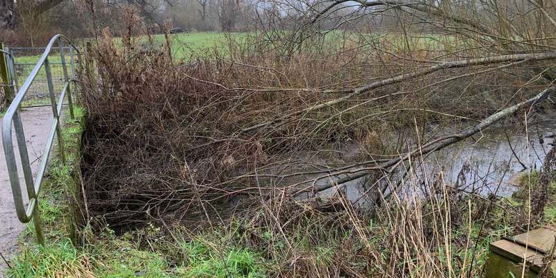 The featured photo for Park Farm Marston 105