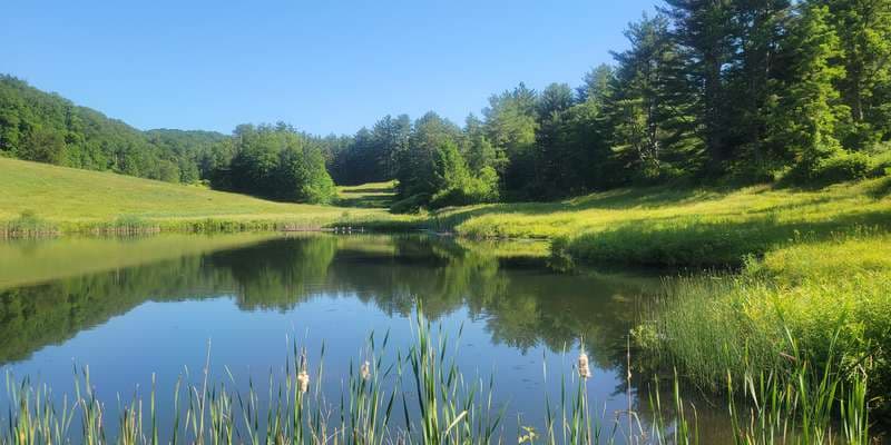The featured photo for Edge Hill Pond