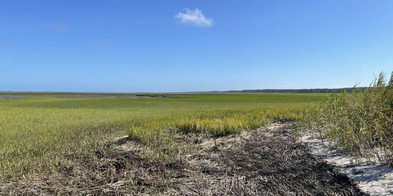 The featured photo for Horse Island Trail Marshes - Oyster, VA