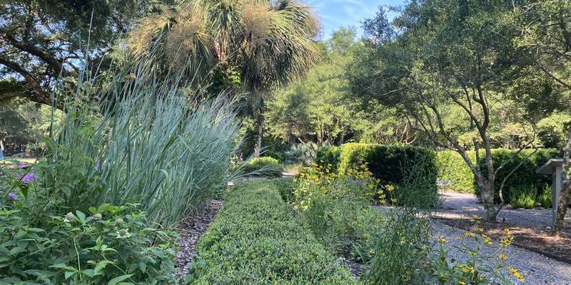 The featured photo for Naturally Kiawah Demonstration Garden