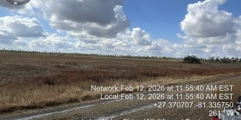 The featured photo for Lake Wales Ridge WEA