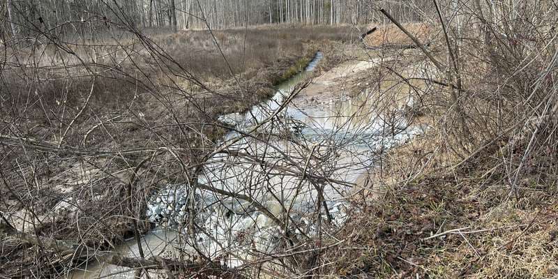 The featured photo for Tributary View