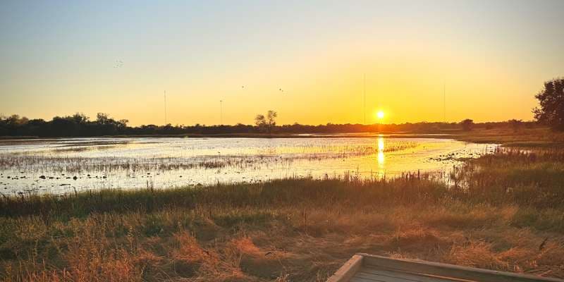 The featured photo for Wetlands Walk - Lookout