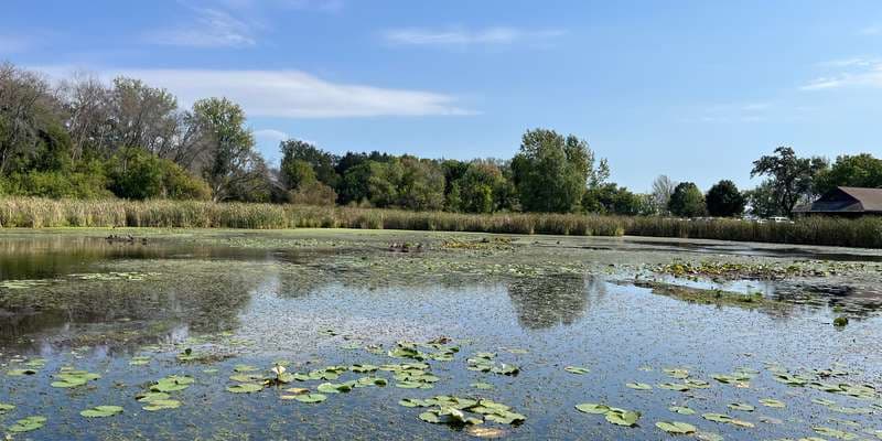 The featured photo for French Regional Park – Turtle Lagoon