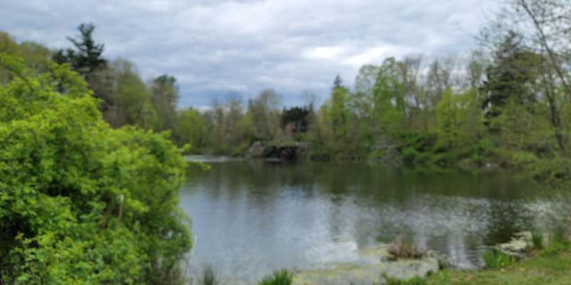 The featured photo for Otter Lake